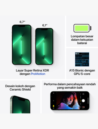 iPhone 13 Pro Max 512GB Alpine Green7
