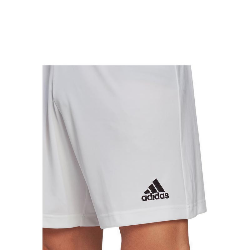 adidas entrada white