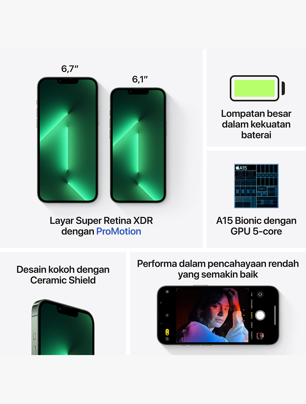 iPhone 13 Pro Max 1TB Alpine Green thumbnail 8
